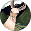 Alicia Cosimo Avatar